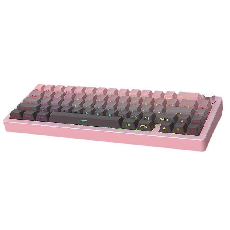 Spot Wholesale HJSDZHIAL65 the - огляд і ціна Gaming Keyboard Budget